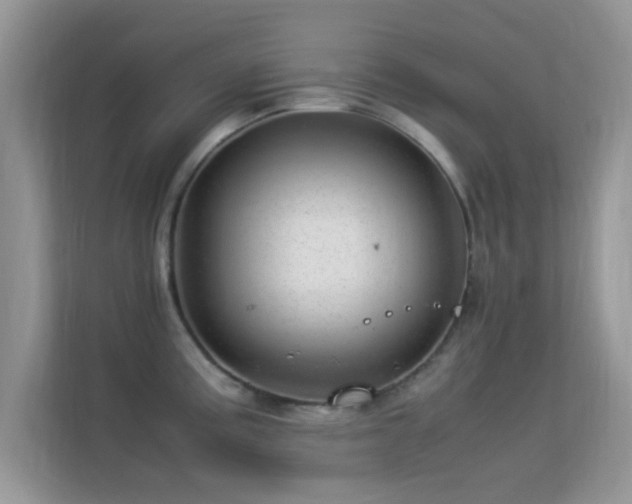 X0000113541195200909250920