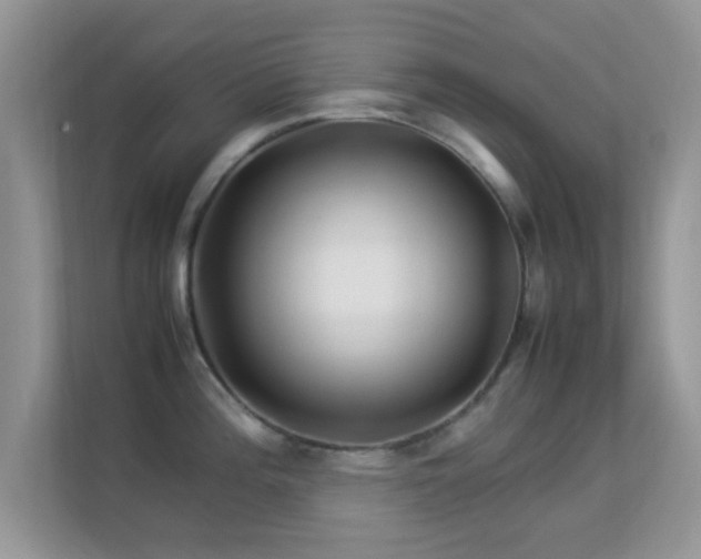 X0000113541196200909250920