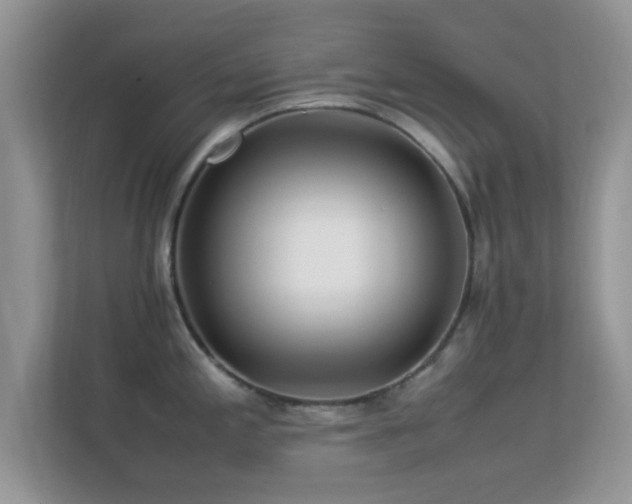 X0000113541197200909250920