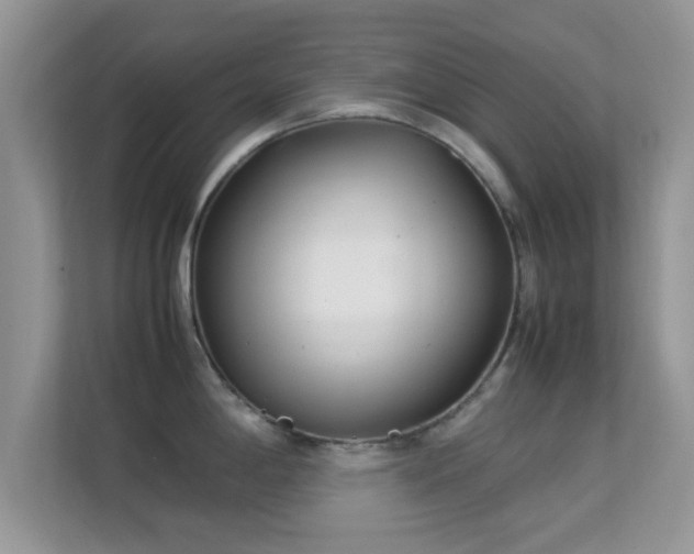 X0000113541198200909250920