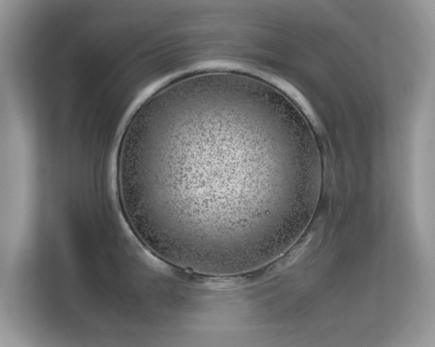 X0000113541199200909250920