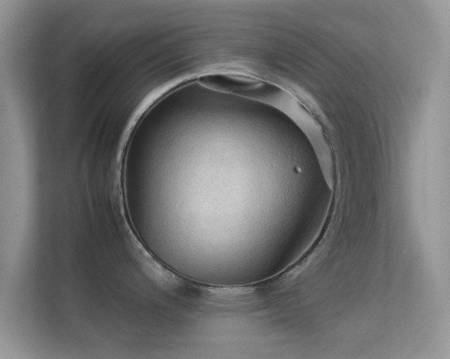 X0000113541200200909250920