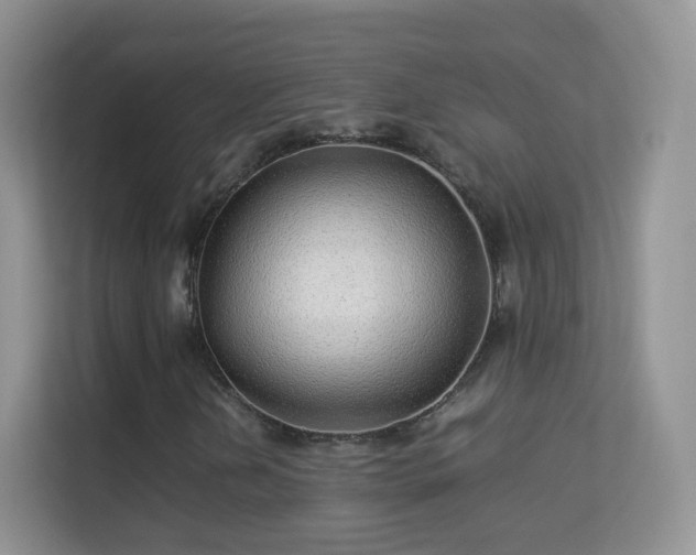 X0000113541202200909250919