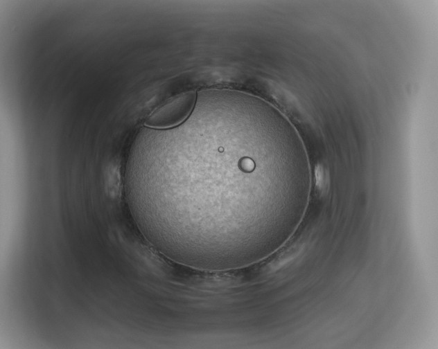 X0000113541203200909250919