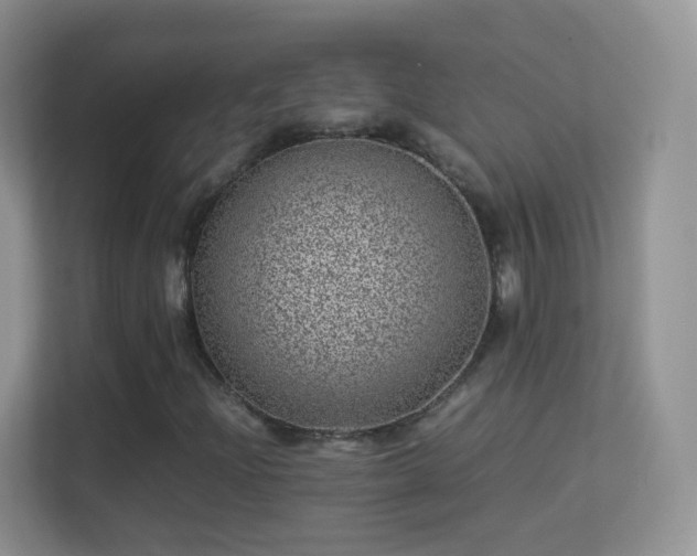X0000113541204200909250919