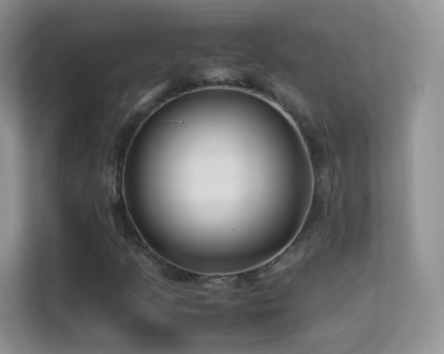 X0000113541205200909250919