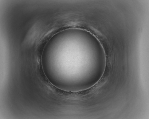 X0000113541206200909250919
