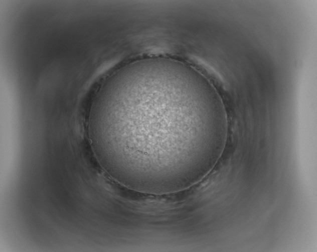 X0000113541207200909250919