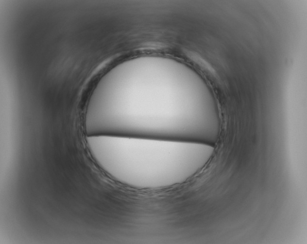 X0000113541208200909250919