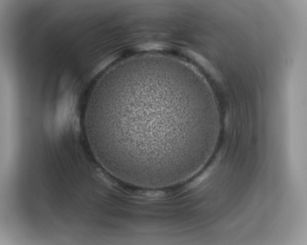 X0000113541209200909250919