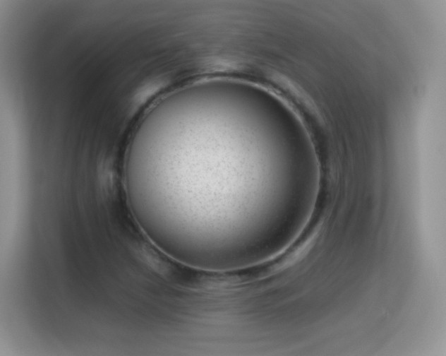 X0000113541210200909250919