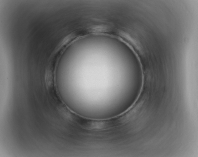 X0000113541211200909250919
