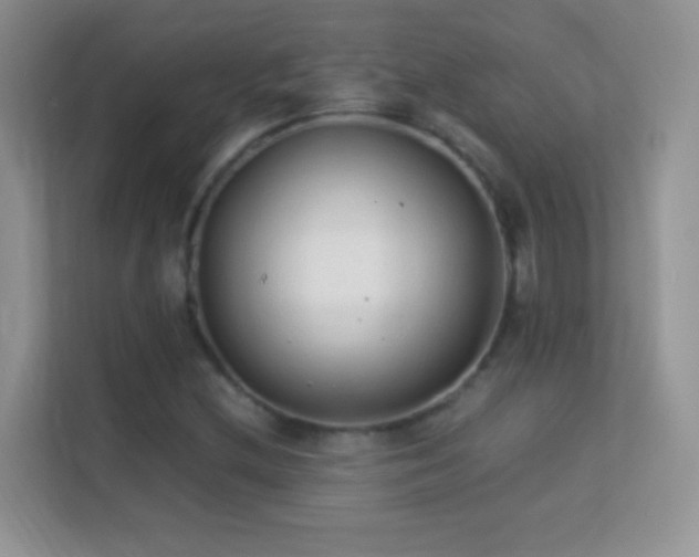 X0000113541212200909250919