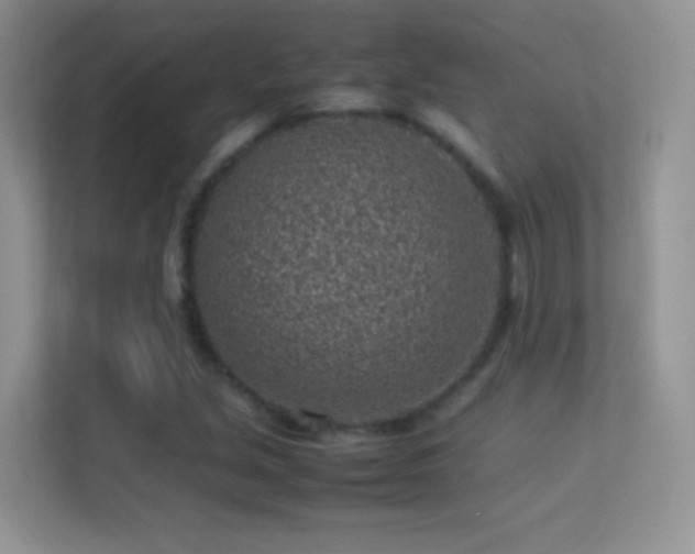 X0000113541213200909250919