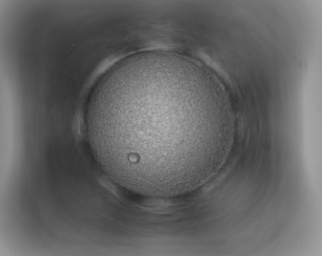 X0000113541215200909250919