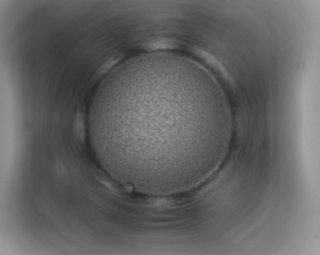 X0000113541217200909250919