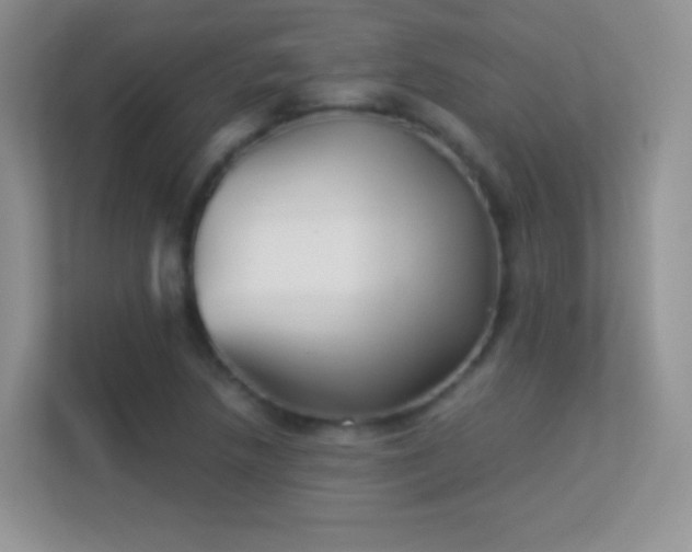X0000113541218200909250919