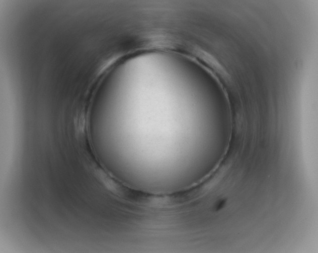 X0000113541220200909250919