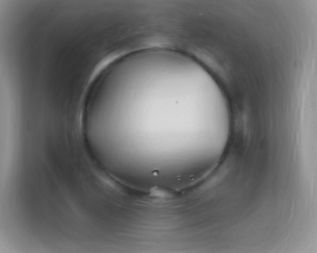 X0000113541222200909250919
