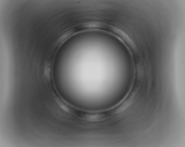 X0000113541225200909250919