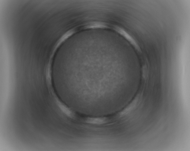 X0000113541229200909250919