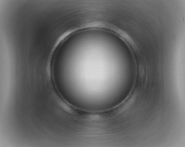 X0000113541230200909250919