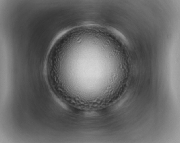 X0000113541231200909250919