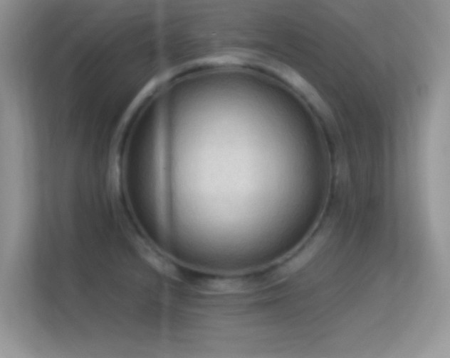 X0000113541232200909250919