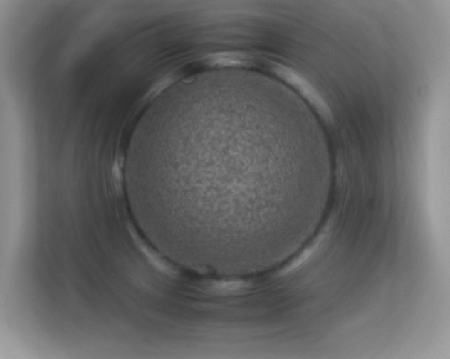 X0000113541233200909250919
