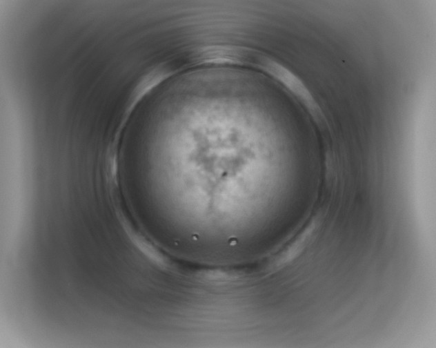 X0000113541234200909250919