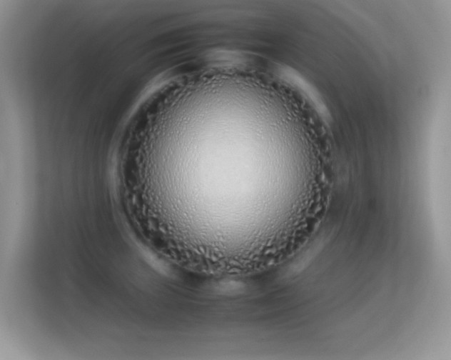 X0000113541235200909250919