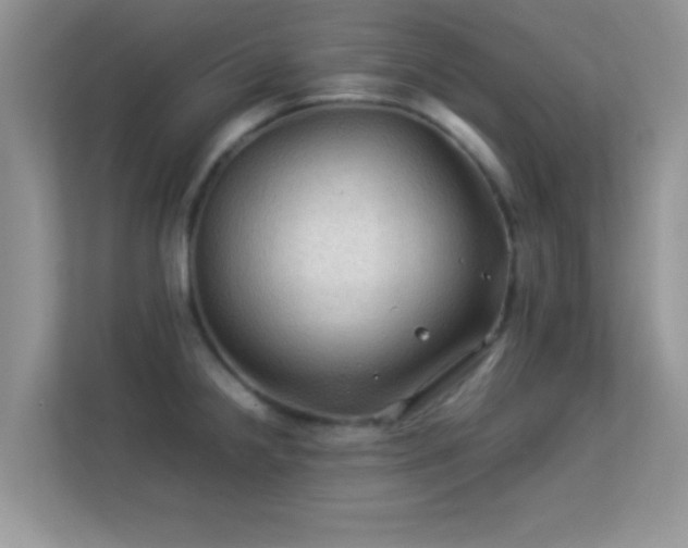 X0000113541238200909250919