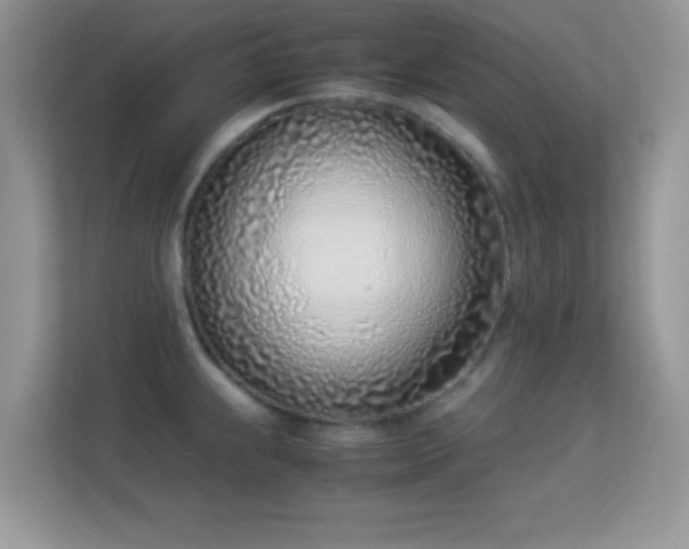 X0000113541239200909250919