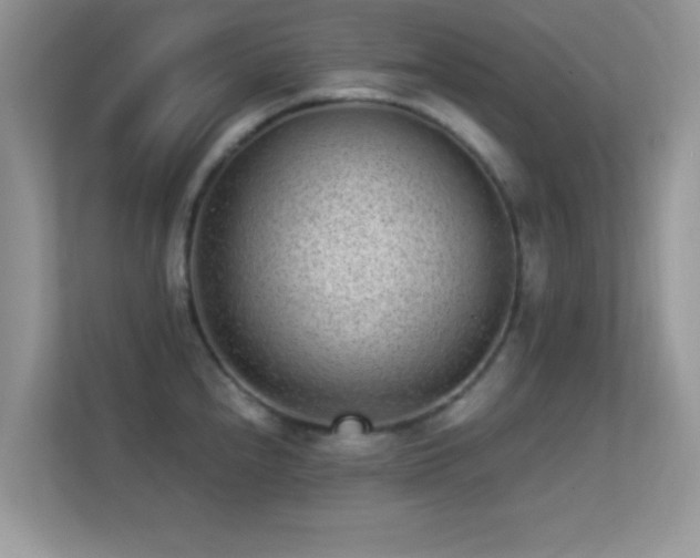 X0000113541240200909250919