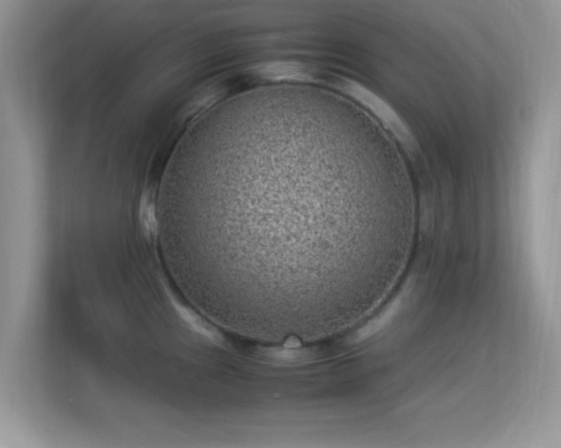 X0000113541241200909250920