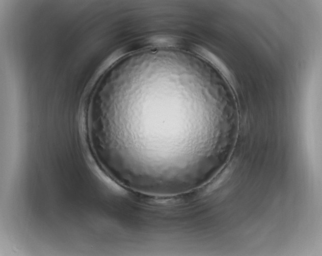 X0000113541243200909250920
