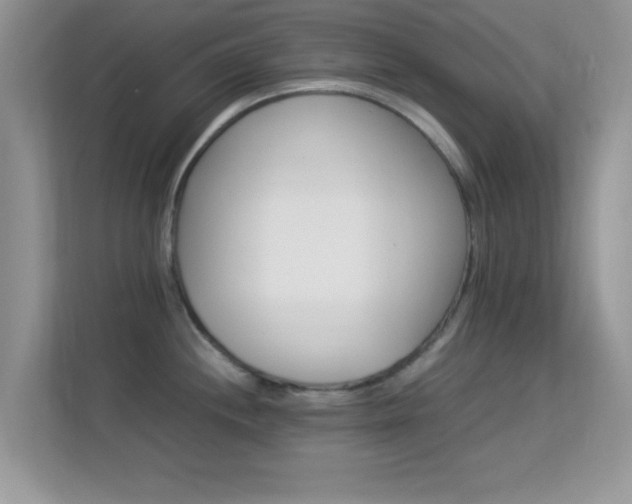 X0000113541244200909250920