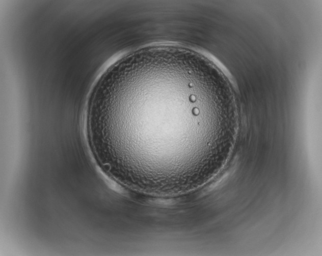 X0000113541245200909250920