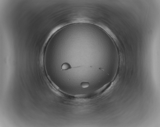 X0000113541246200909250920