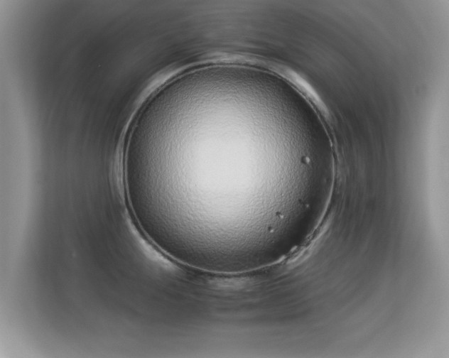 X0000113541247200909250920