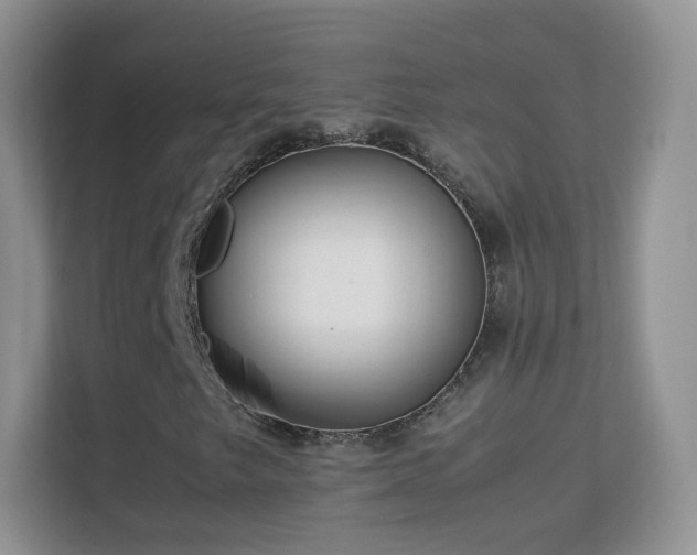 X0000113541249200909250919