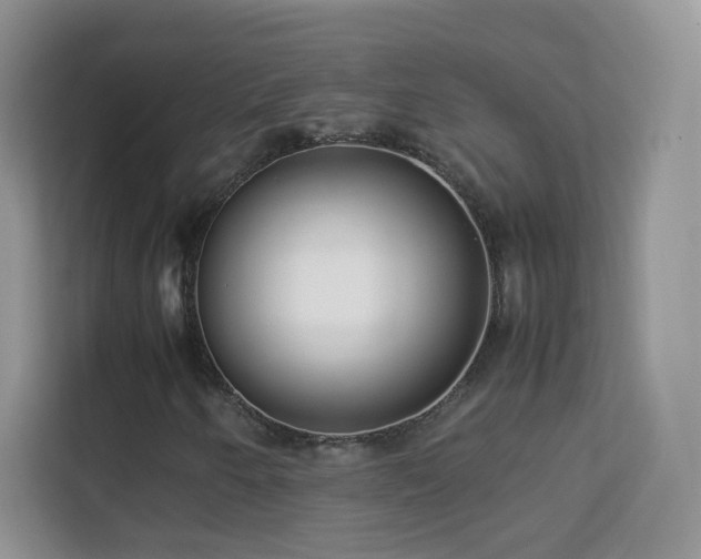 X0000113541250200909250919
