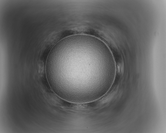 X0000113541251200909250919