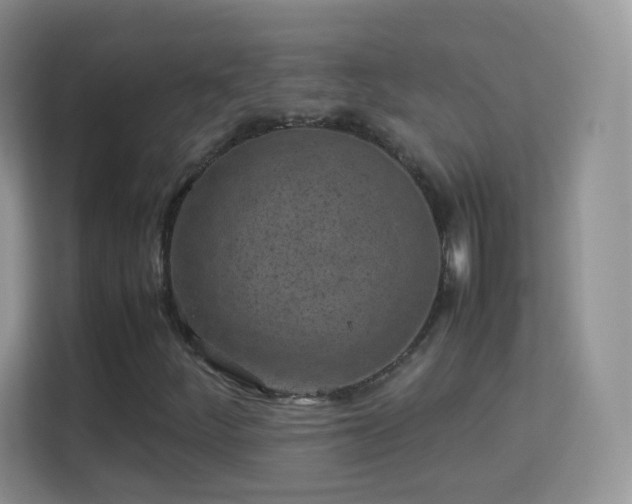 X0000113541252200909250919