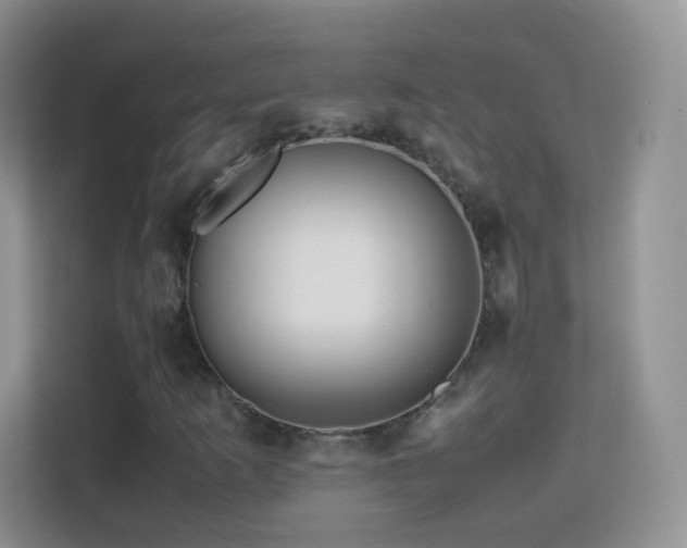 X0000113541253200909250919