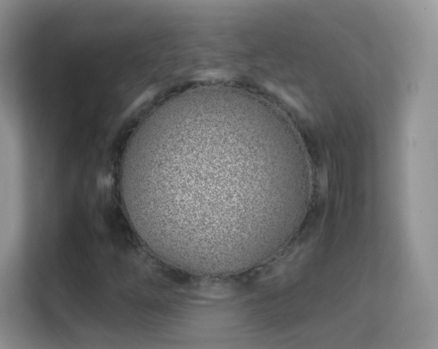X0000113541254200909250919
