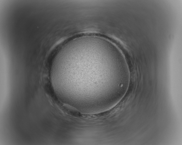 X0000113541255200909250919