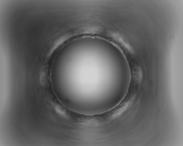 X0000113541256200909250919