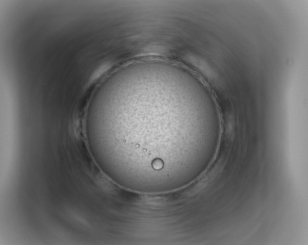 X0000113541258200909250919