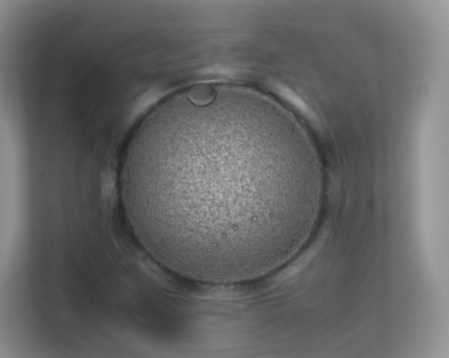 X0000113541259200909250919